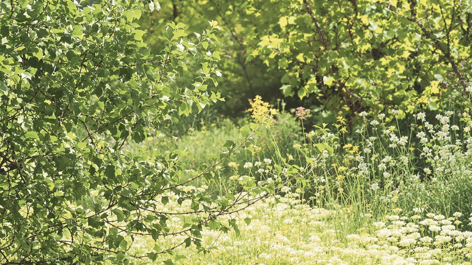 10 Simple Things that make you happy